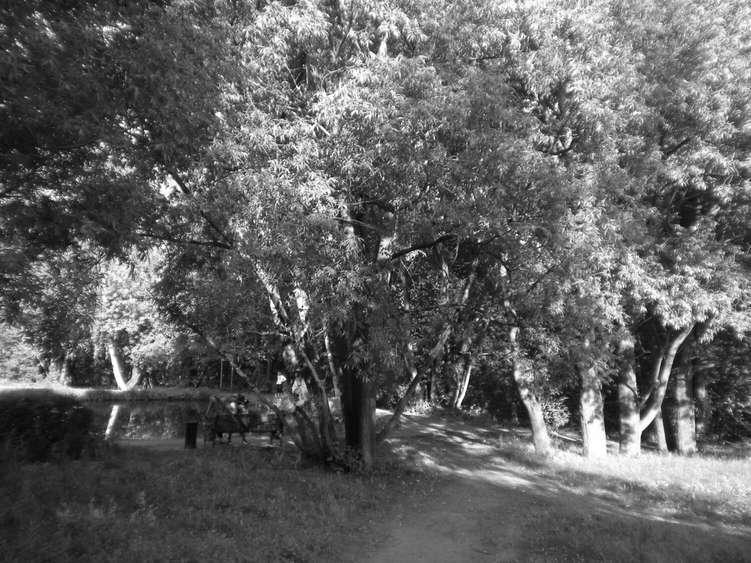Photo #3546945
