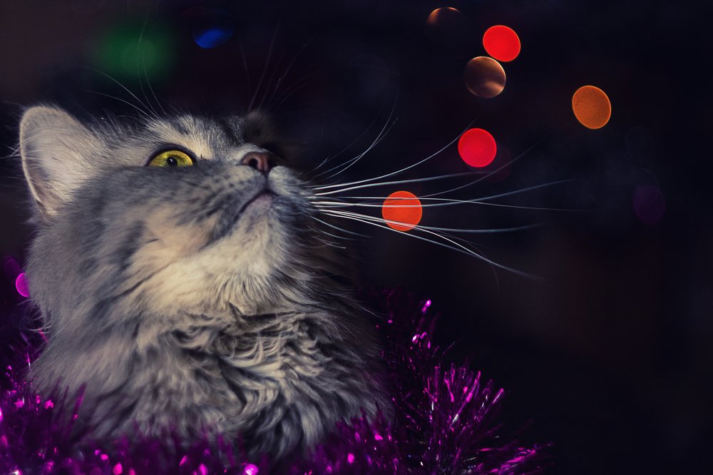 Photograph by Дубинин Сергей