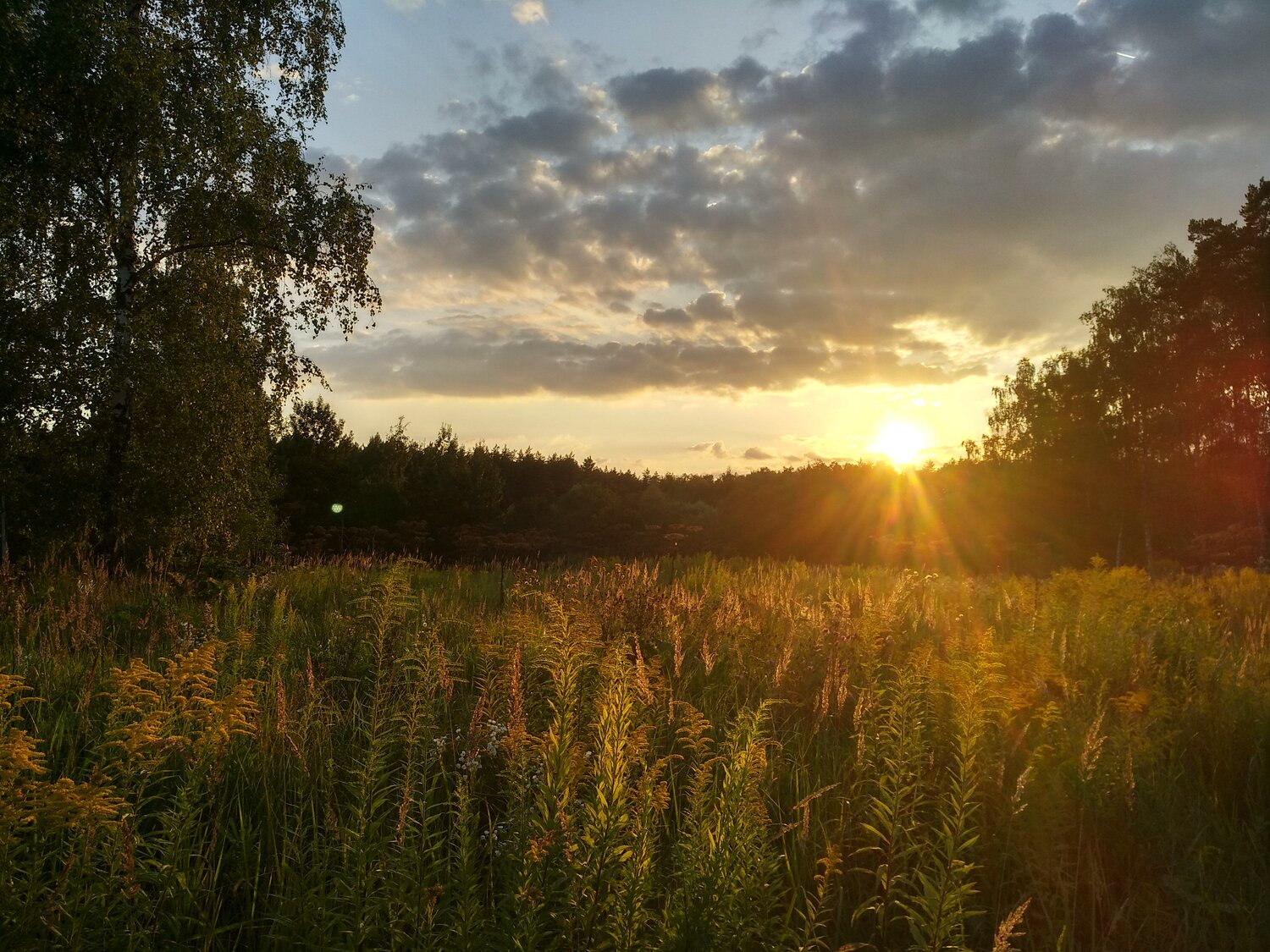 Photo #3547007