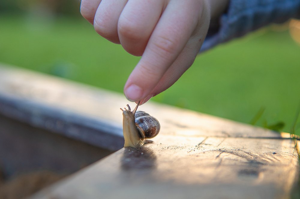 Знакомство