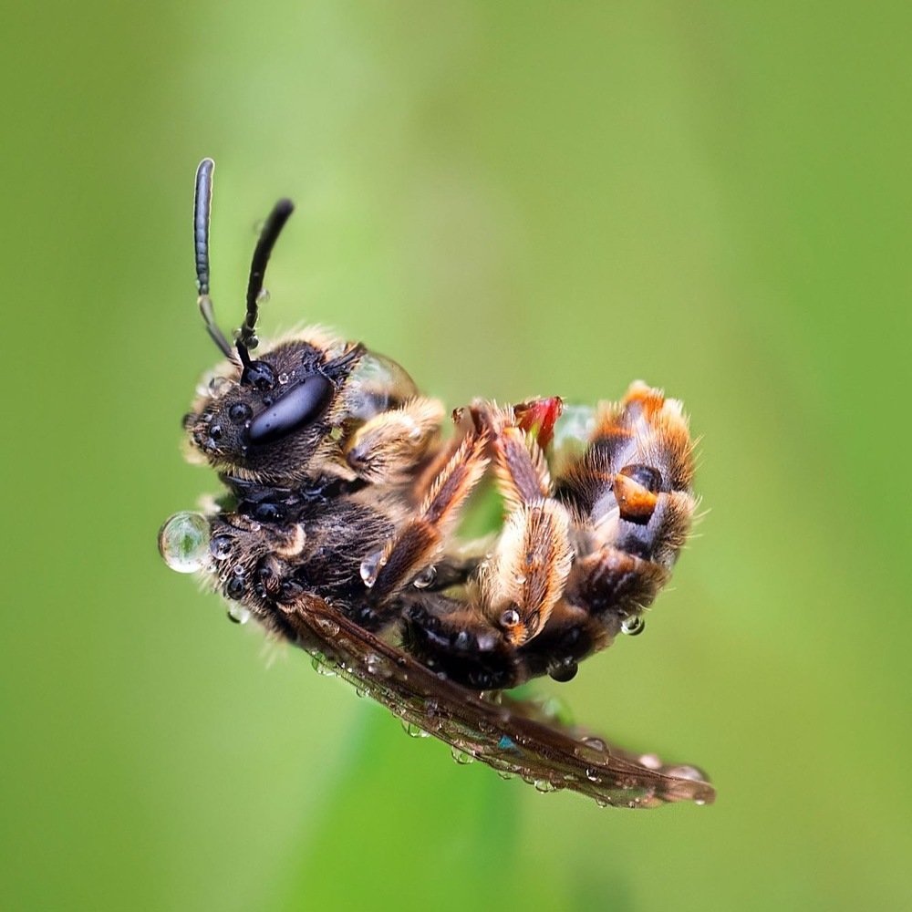 Фотография автора Dolli Pogrebnaya