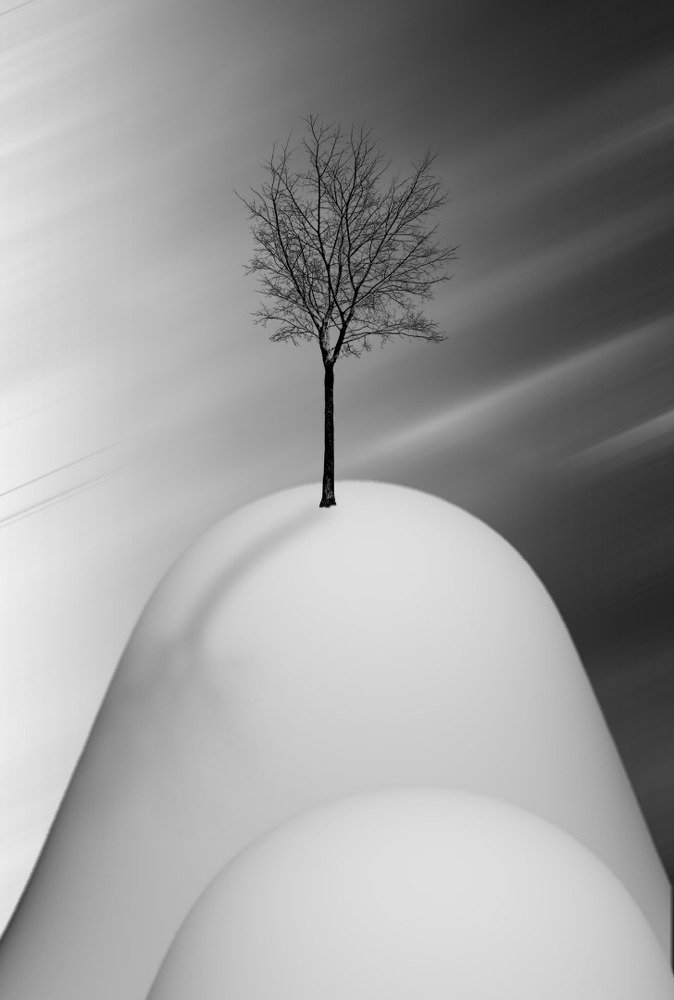 Фотография автора arabzadeh hossein