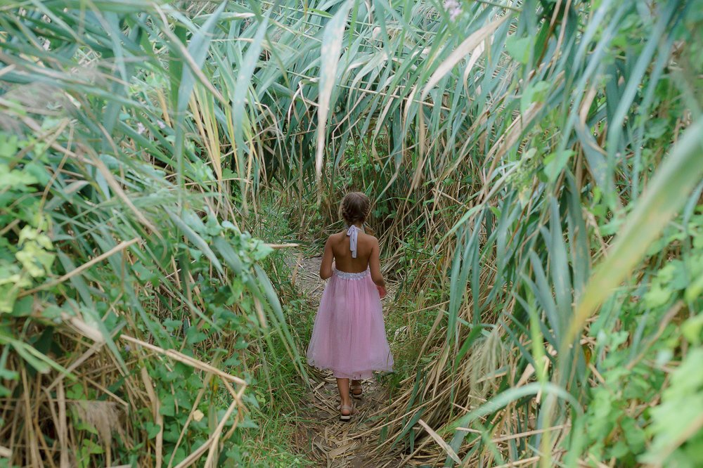 Фотография автора Ольга Осипова