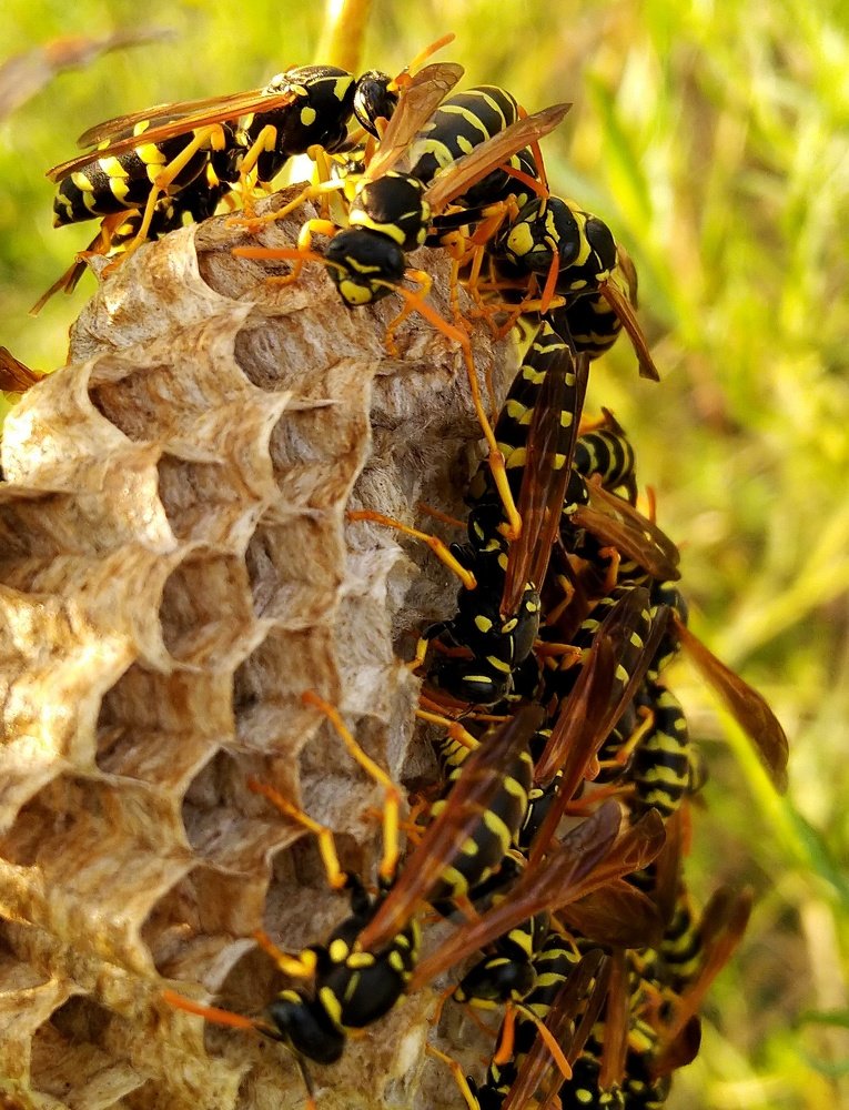 Photograph by Анна Матецкая