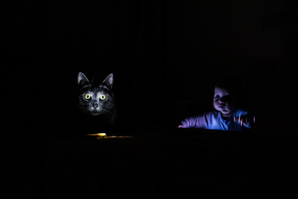 Photograph by Евгения Кутоманова