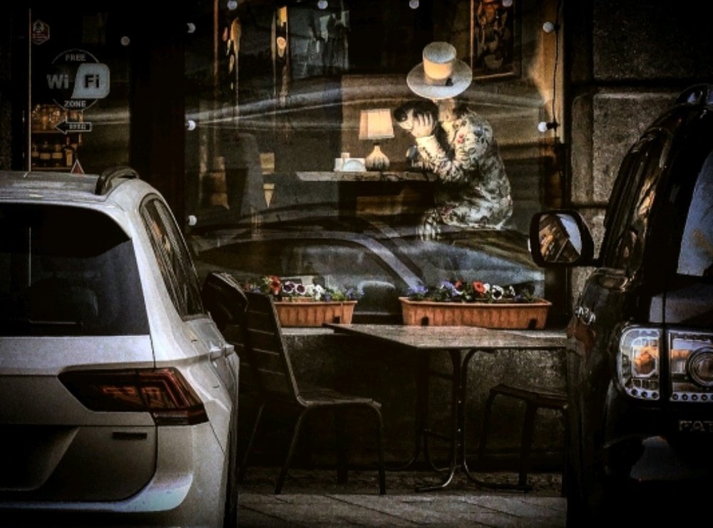 Photograph by 