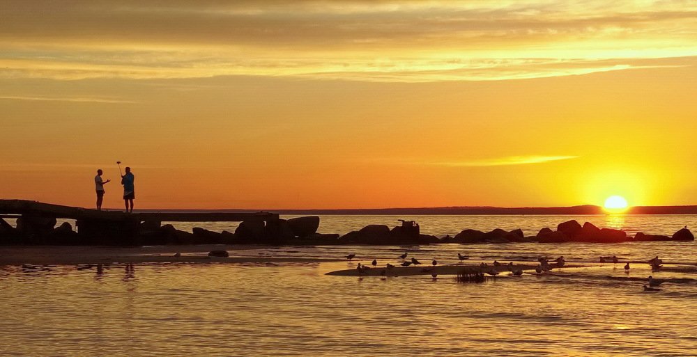 Люди и птицы