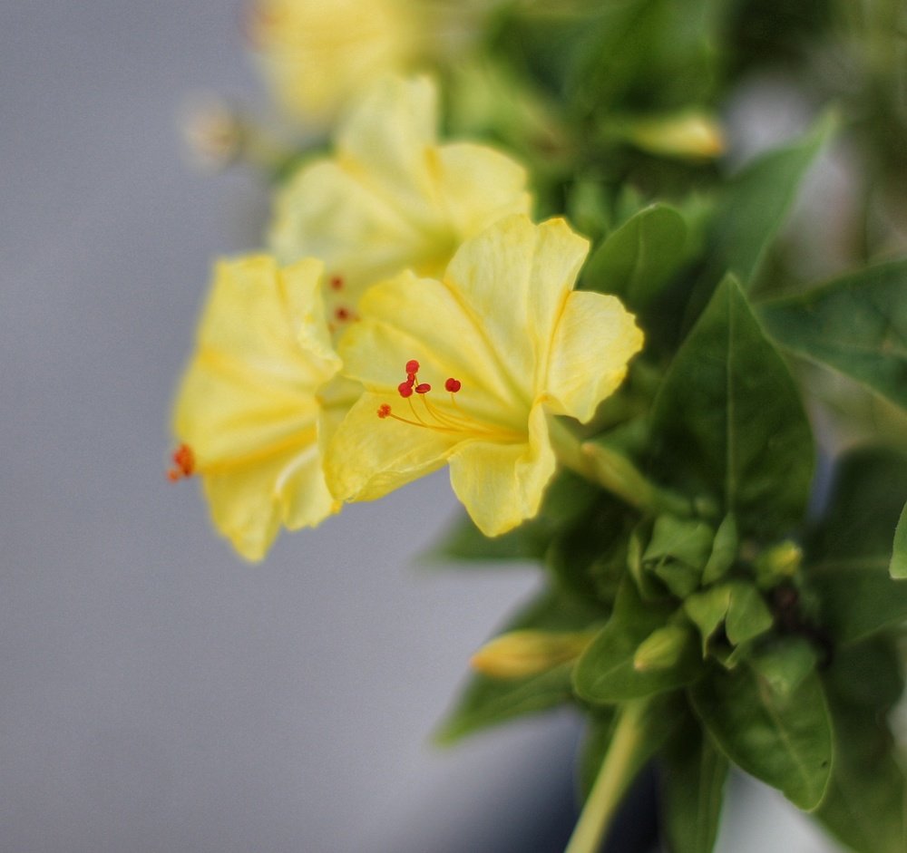 Photograph by Владимир Осипов