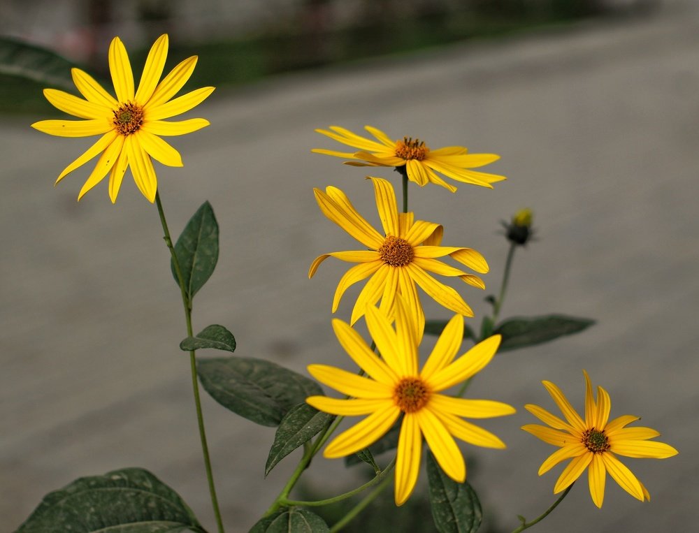 Photograph by Владимир Осипов