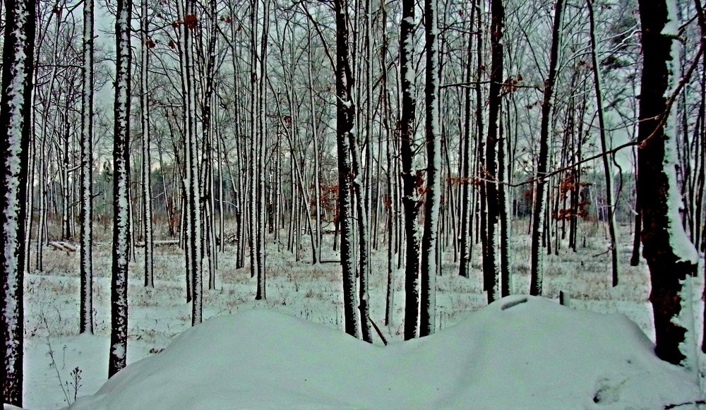 Photograph by леонид натапов