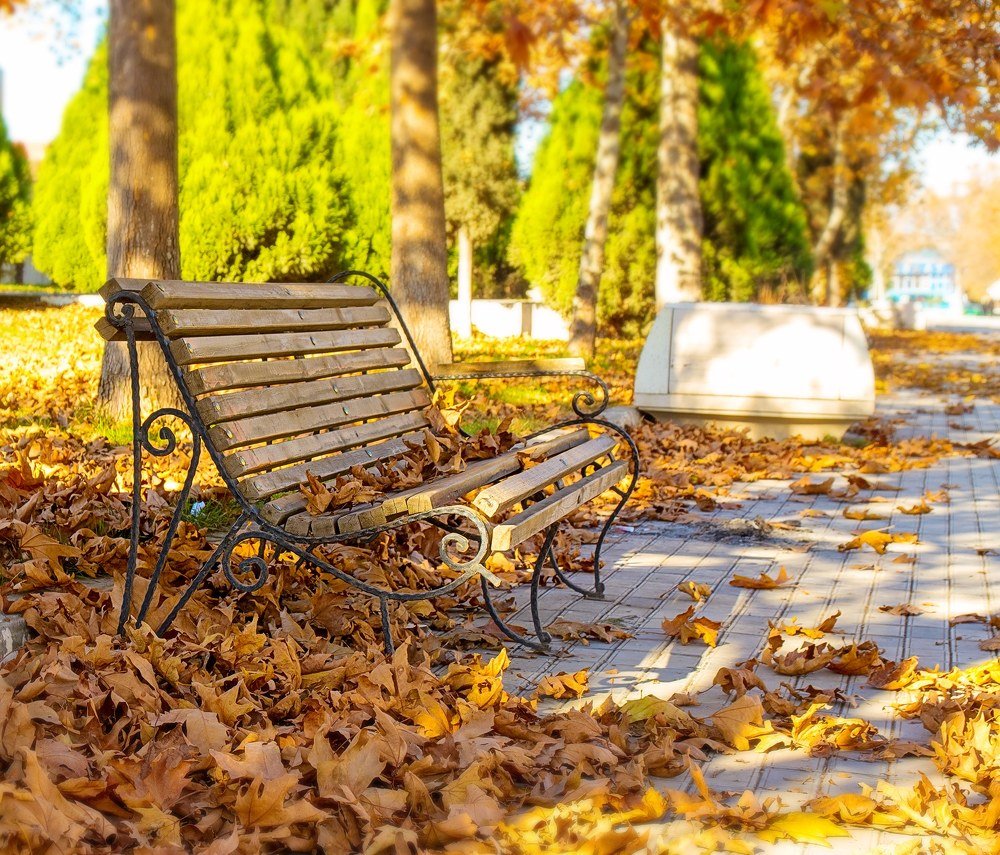 Photograph by Владимир Осипов