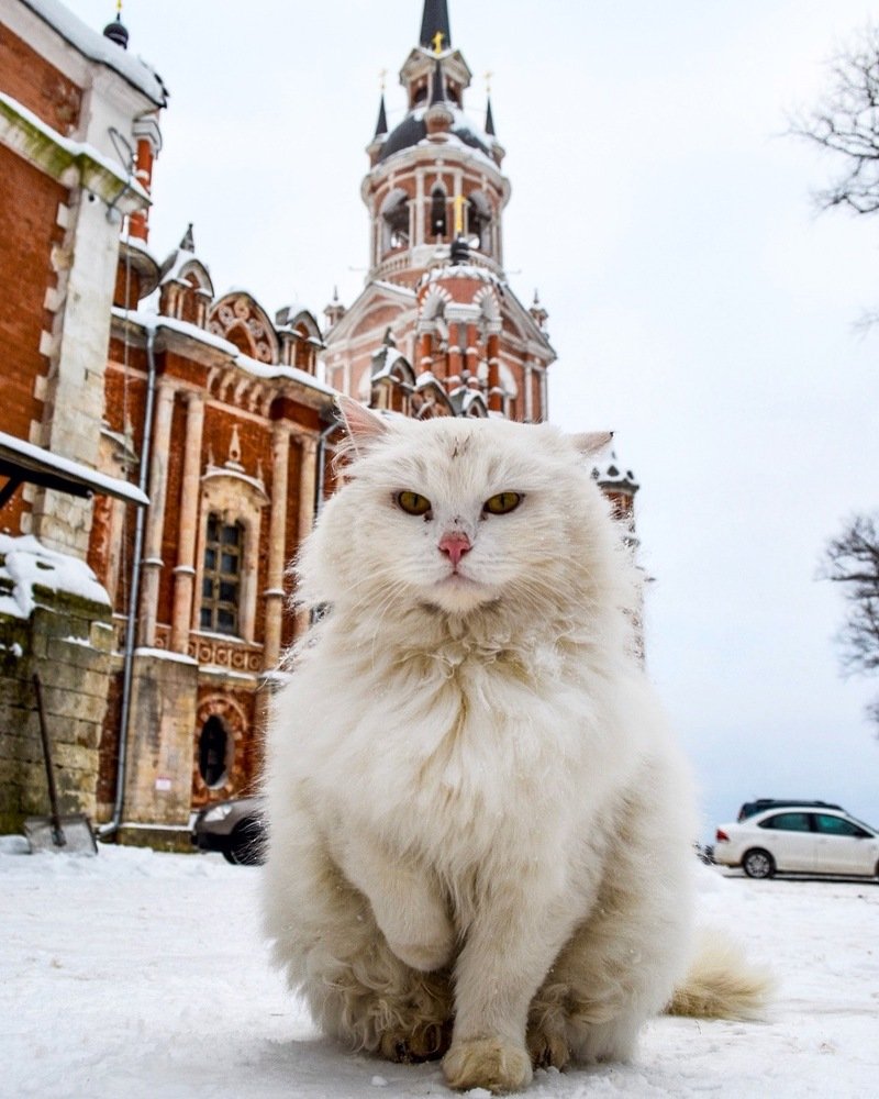 Photograph by Marina