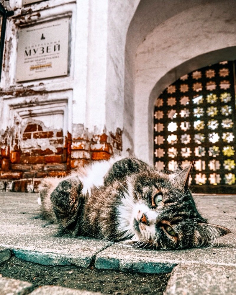 Photograph by Marina