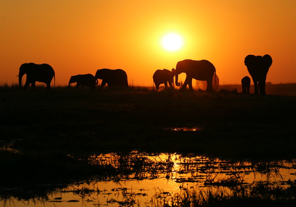 Photograph by Диана Жагрина