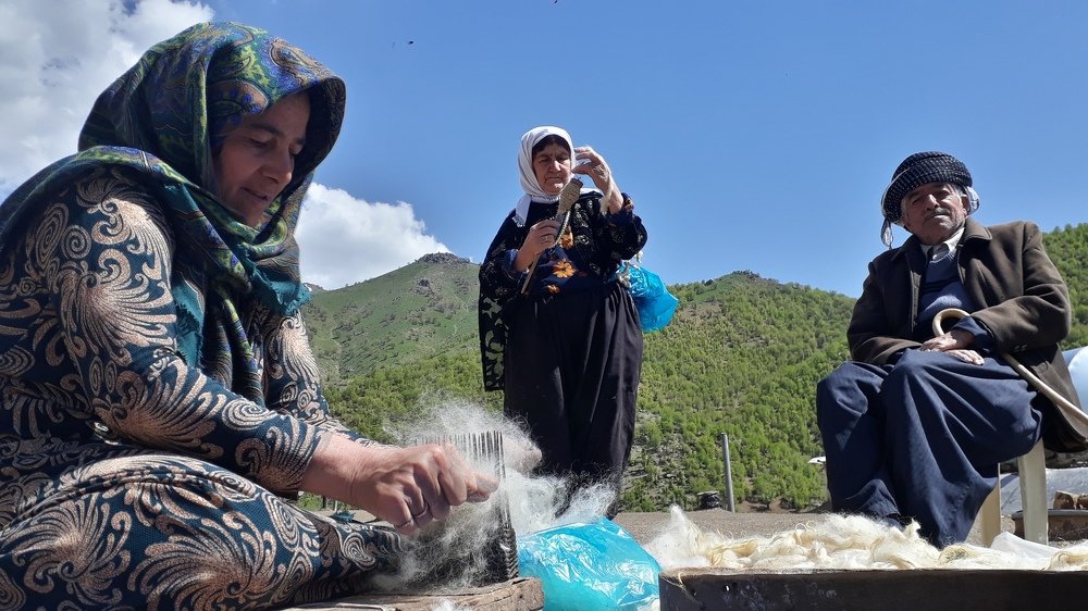 Photograph by omid zarei