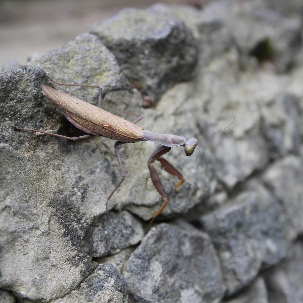 Photograph by Нина Кузьмина