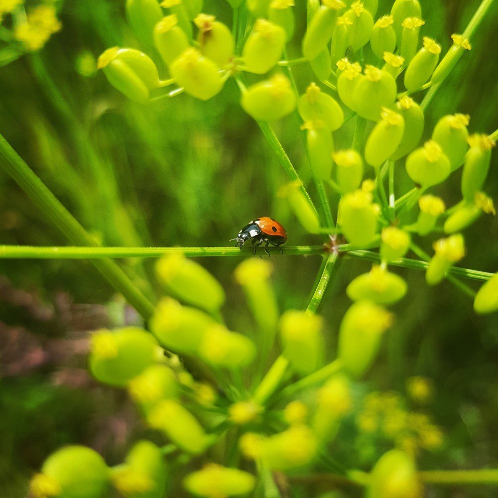 Photograph by Нина Кузьмина