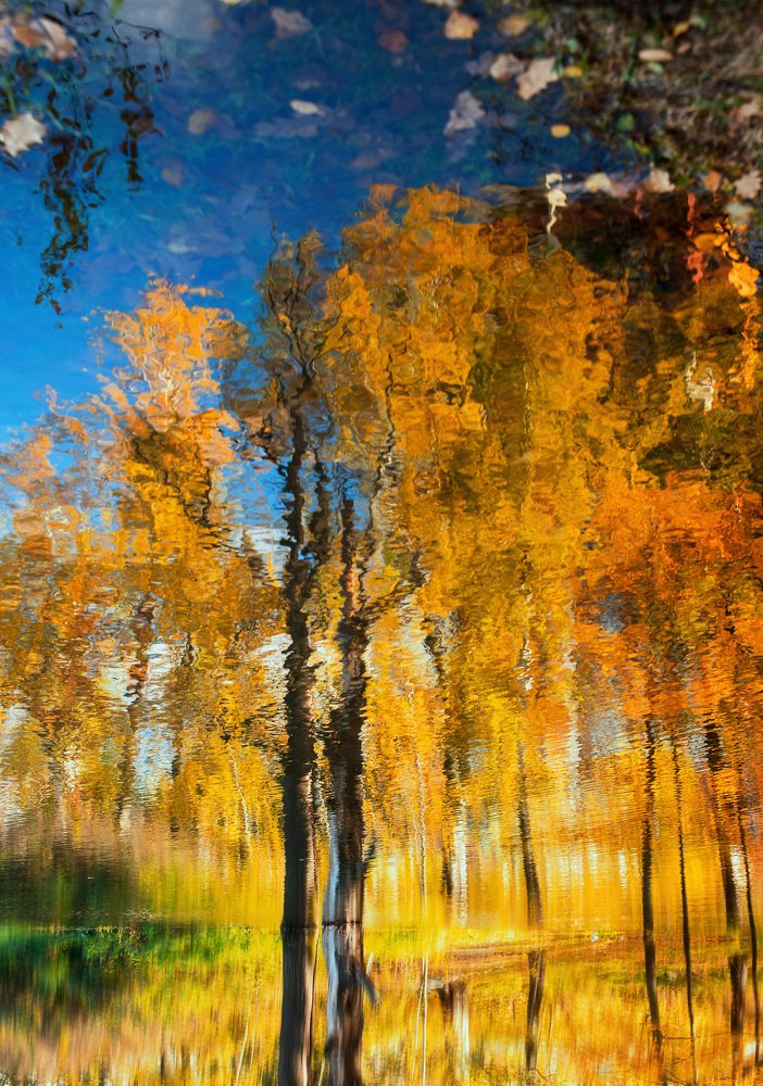 Photograph by Татьяна Чичковская