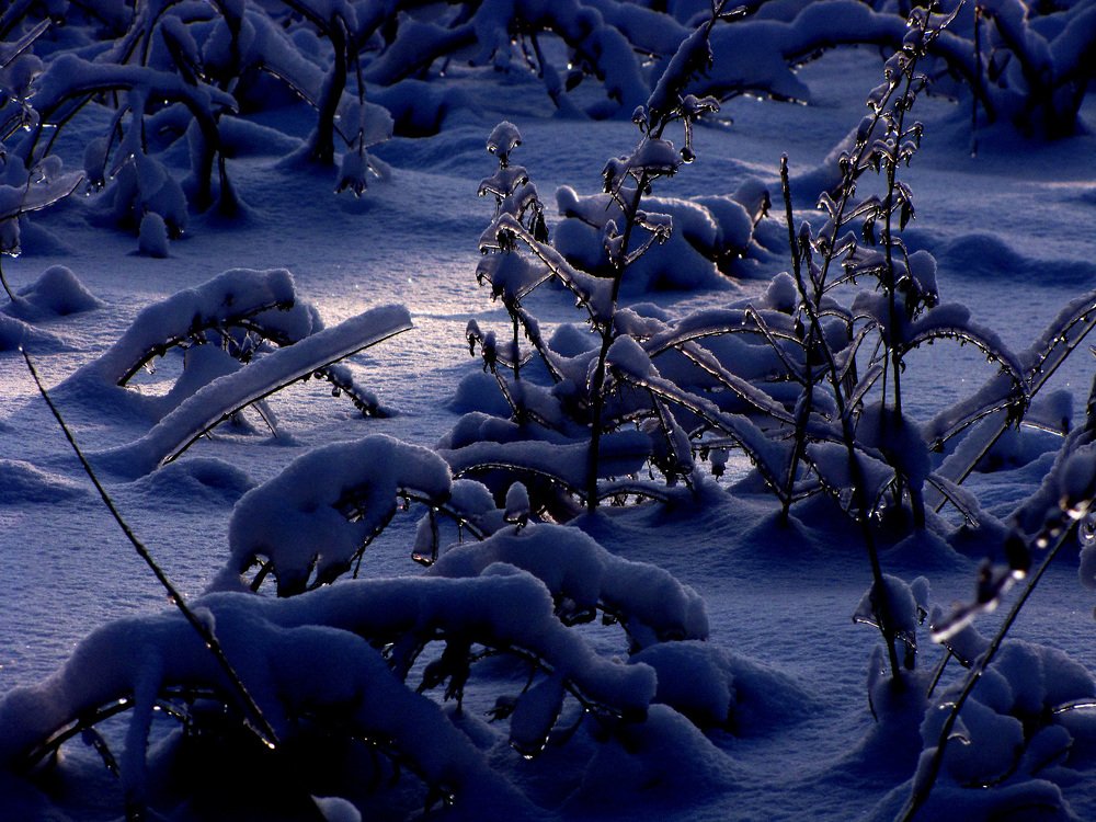 Photograph by Юрий Миронов