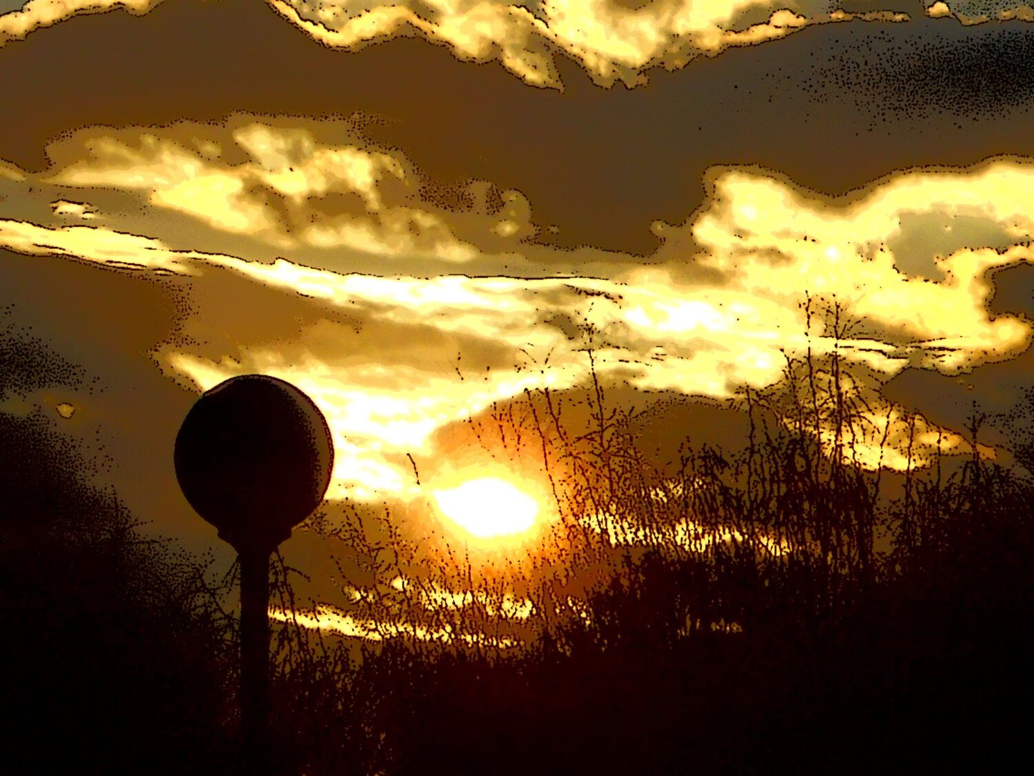 Photo #3547465