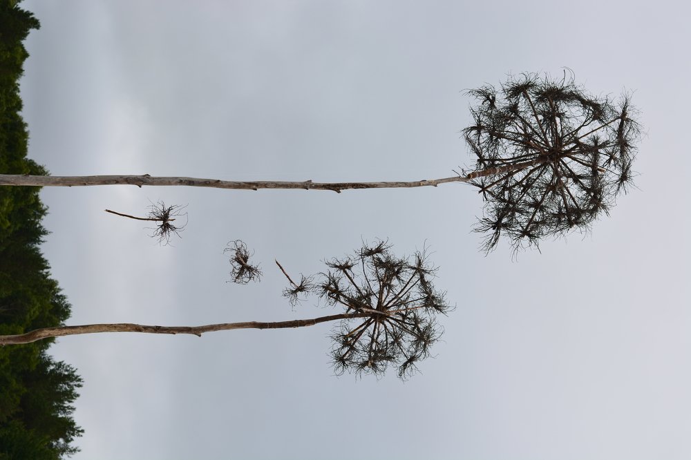 Photograph by Анатолий Орлов