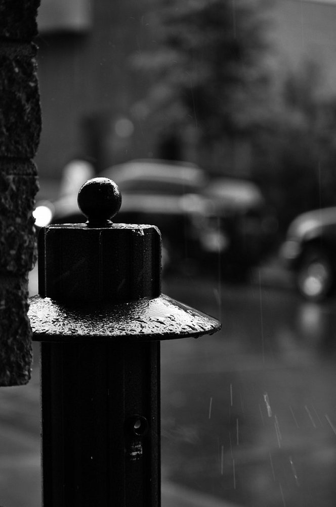 Photograph by Александр Зеленский
