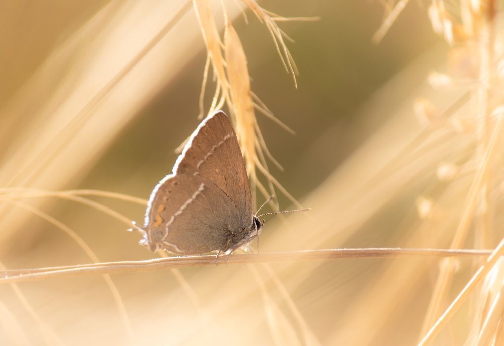 Photograph by Ярослав Осипов