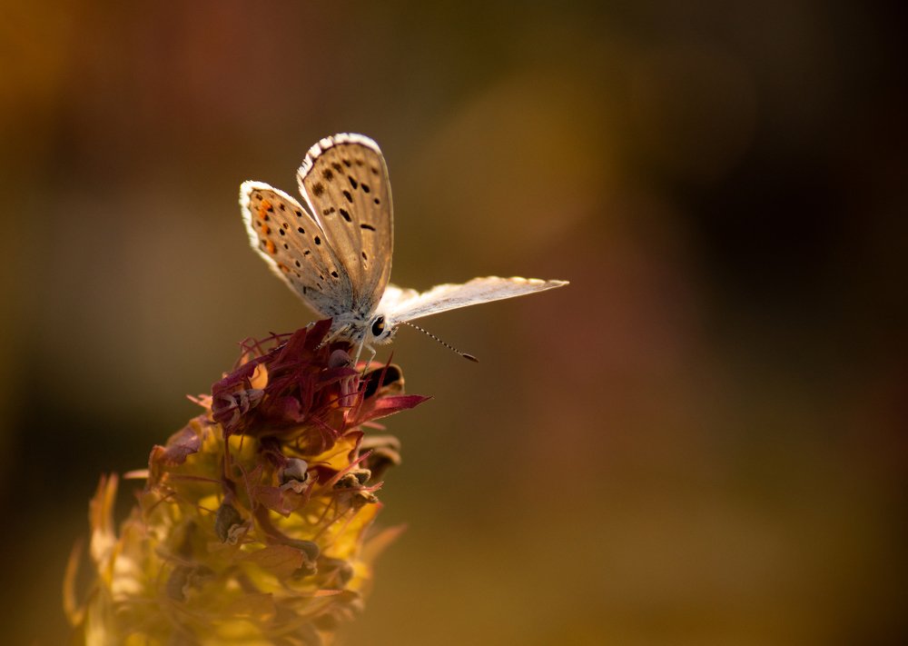 Photograph by Ярослав Осипов