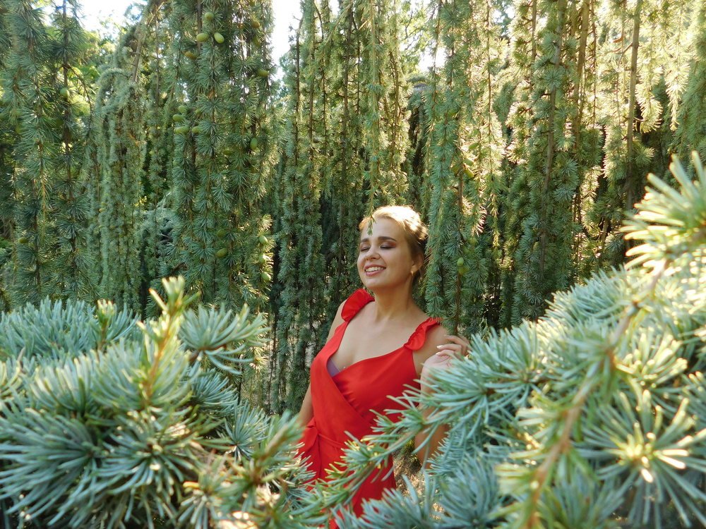 Photograph by Алина Загибина