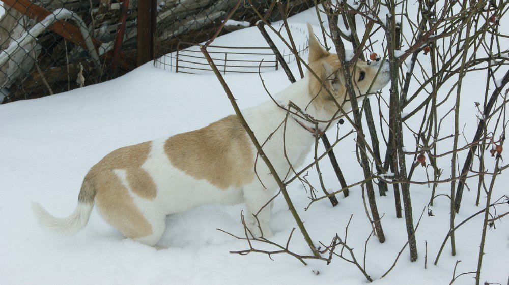 Photograph by Татьяна Афанасьева