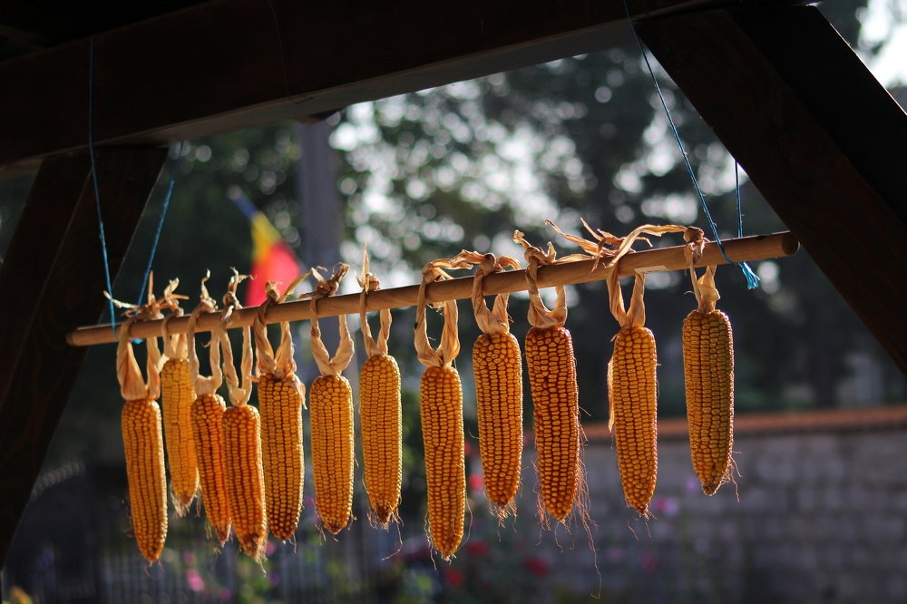 Photograph by Teodora Codreanu