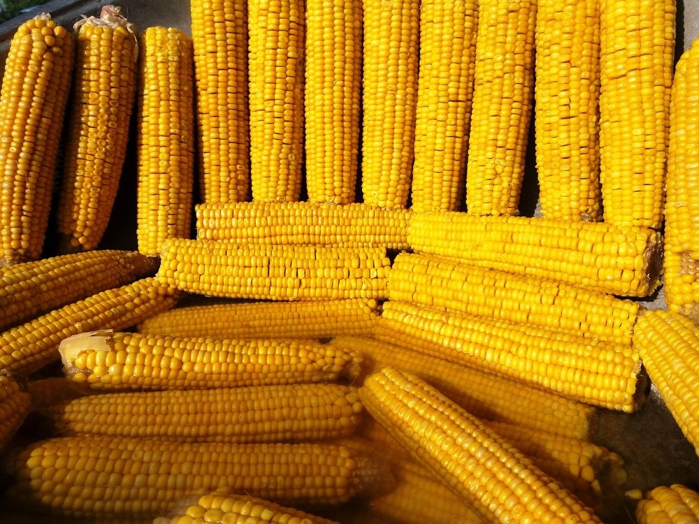 Photograph by Гульбара Абдыкалыкова