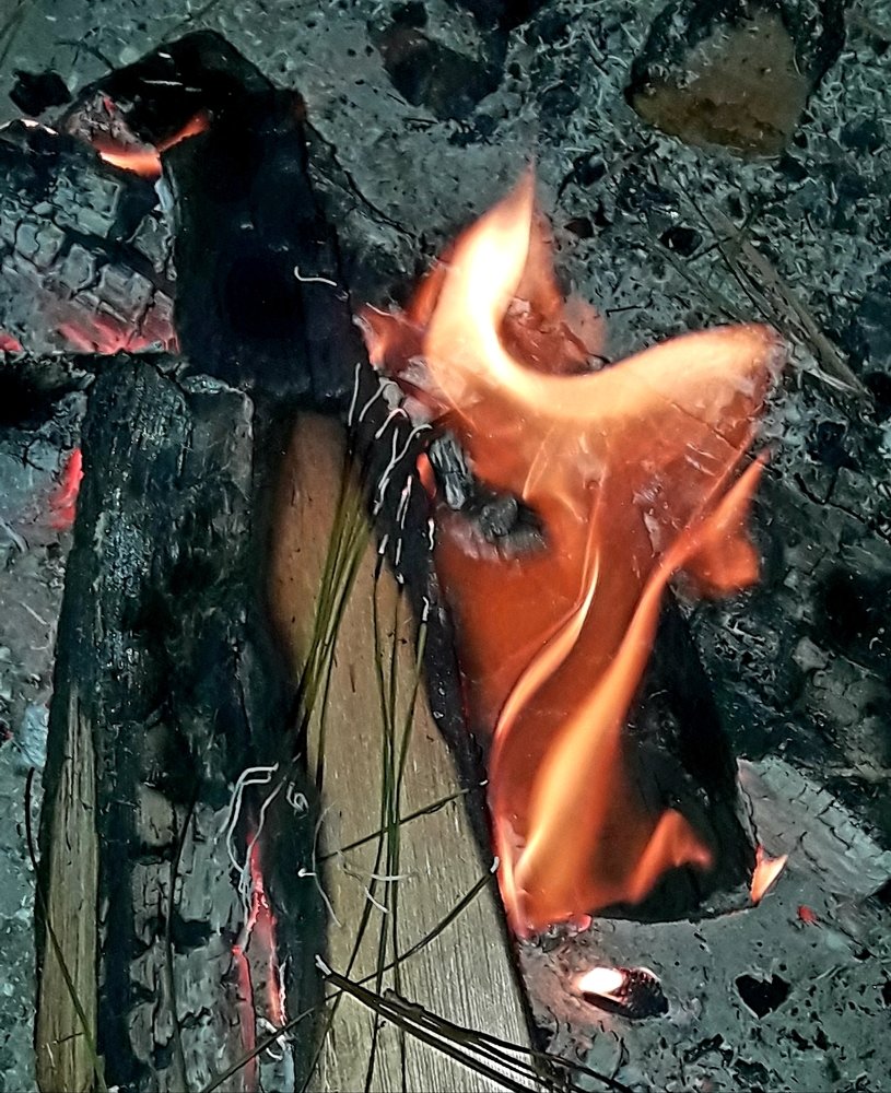 Photo #3547647