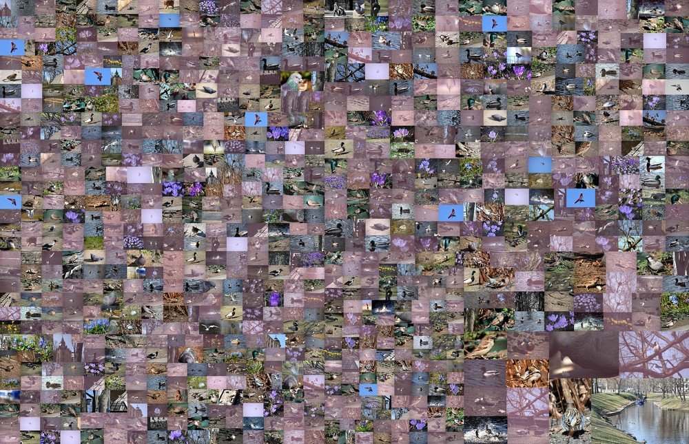 The history of all photographs of the world / История всех фотографий мира