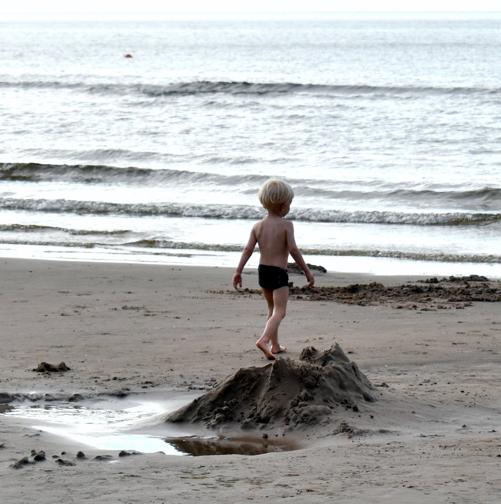 The story of the little prince / История маленького принца