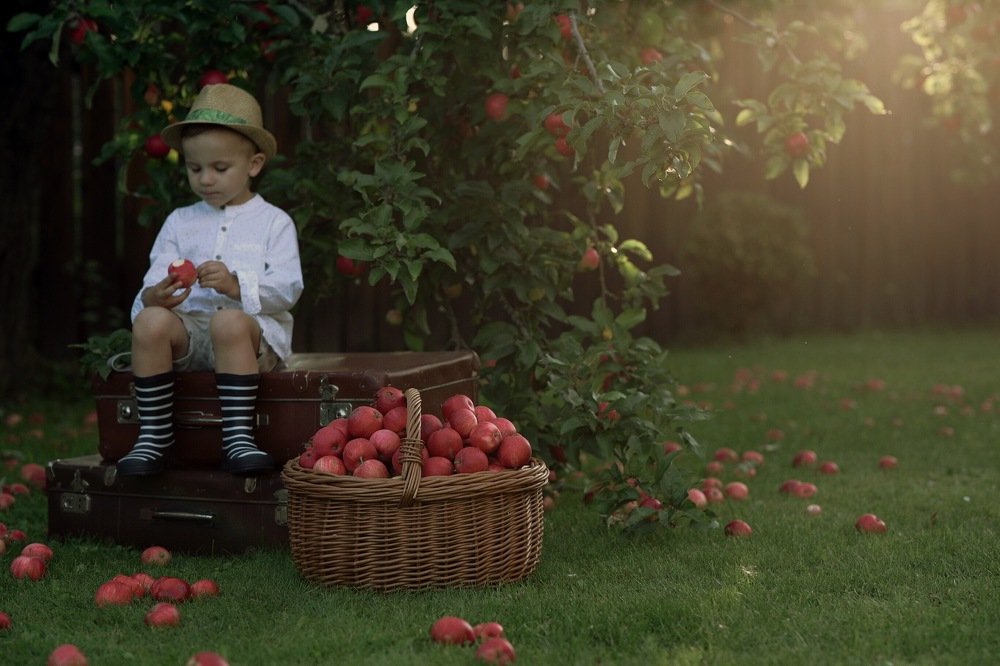 Photograph by Ольга Нечаева