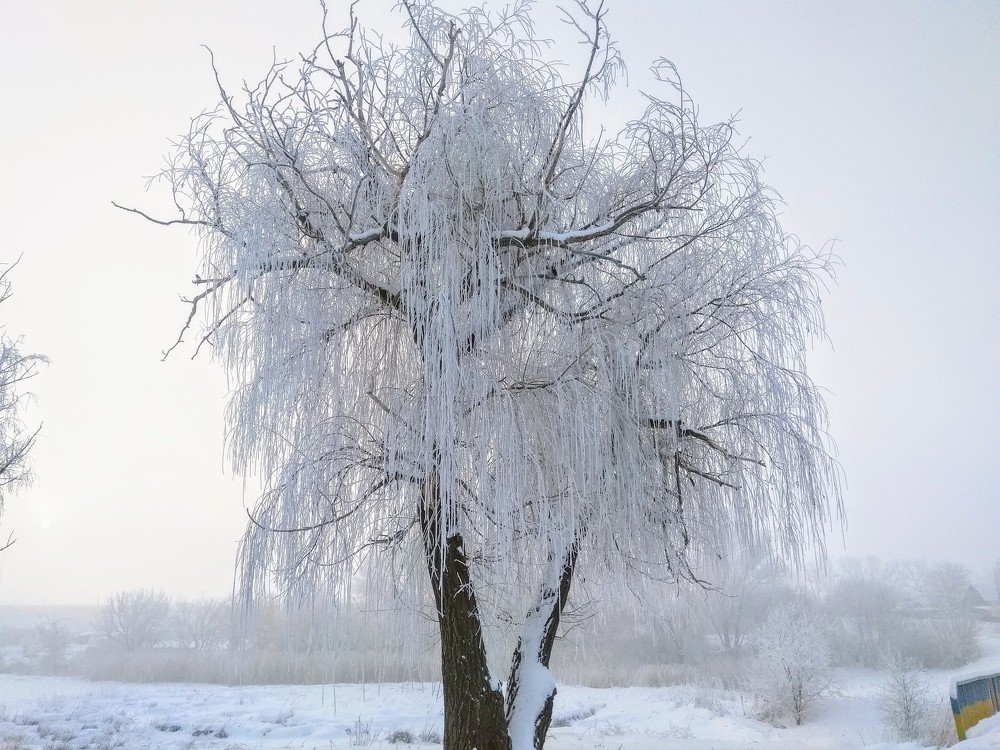 Photograph by Денис Лащ