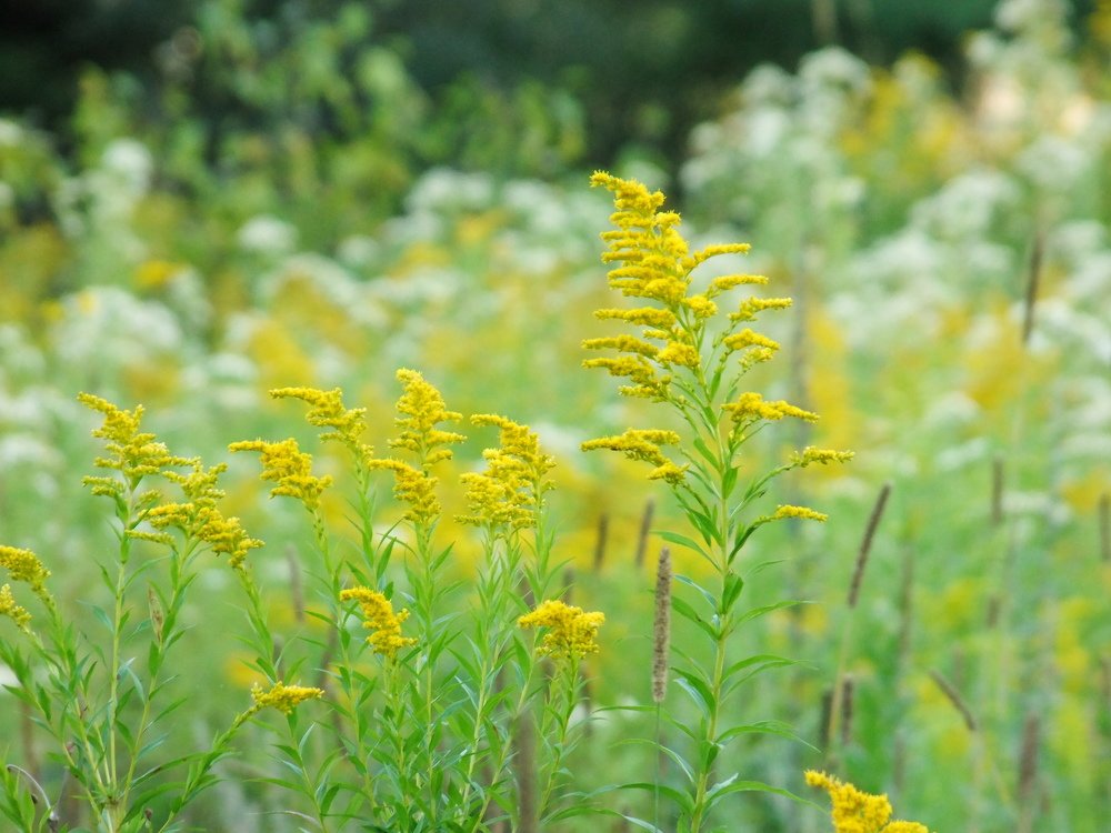 Photograph by Josée Beauchemin