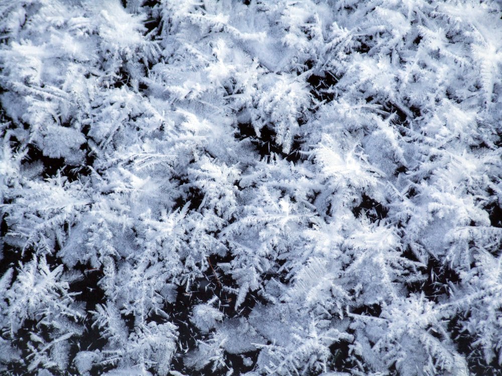 Givre sur le lac
