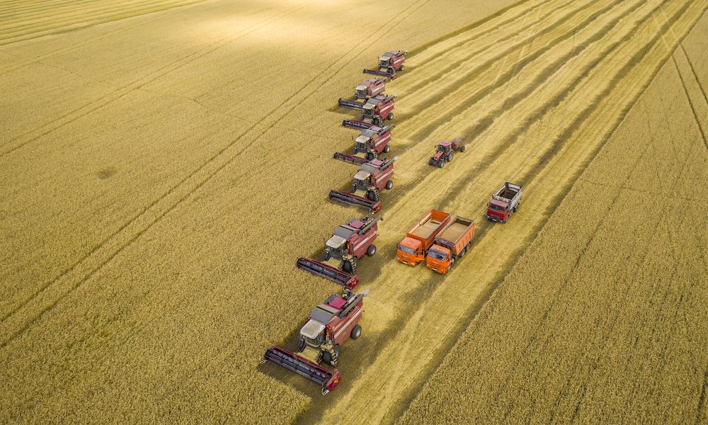 Photograph by Игорь Кляхин