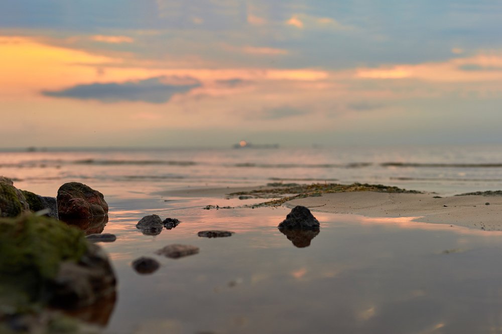 Photograph by Алексей Труханович