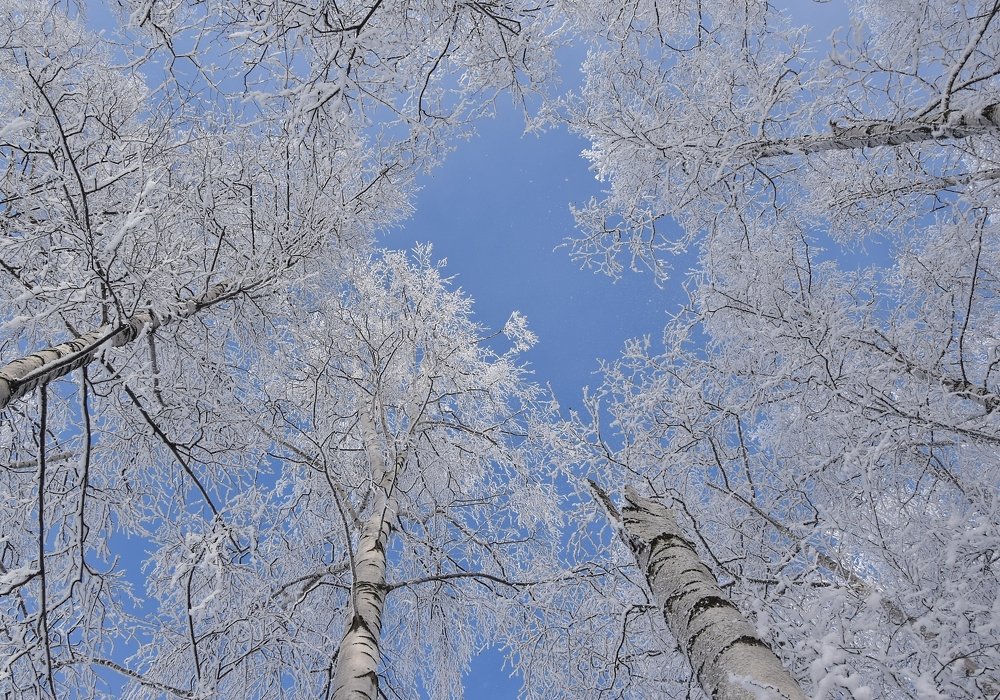 Фотография автора Альбина Хвастунова