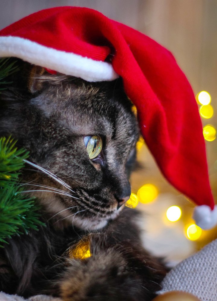 Photograph by Маргарита Федурина