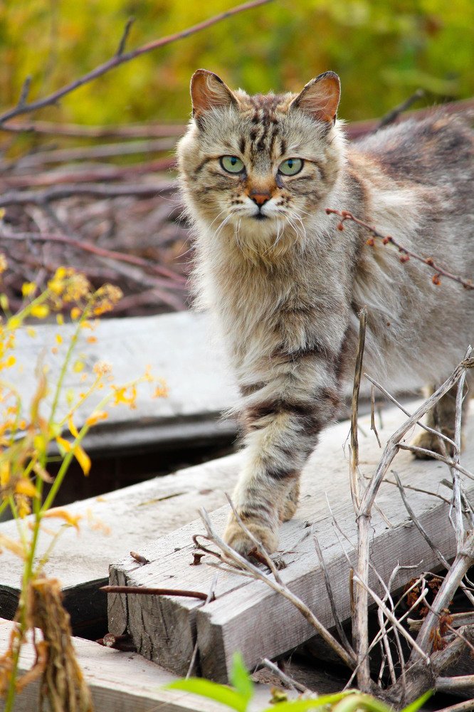 Photograph by Маргарита Федурина