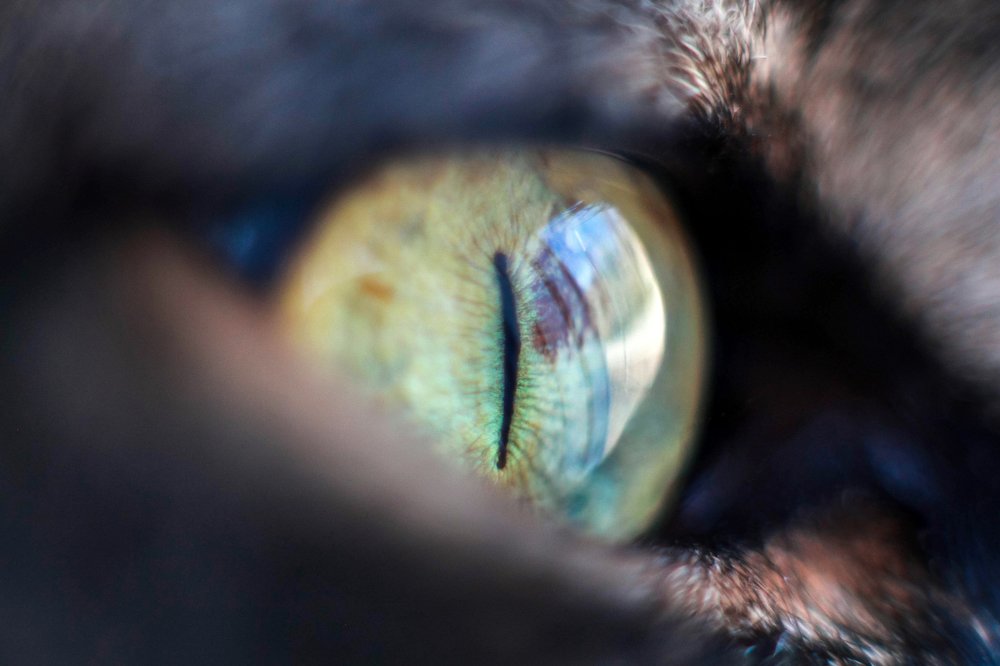 Photograph by Маргарита Федурина