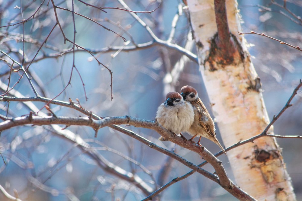 Photograph by Маргарита Федурина
