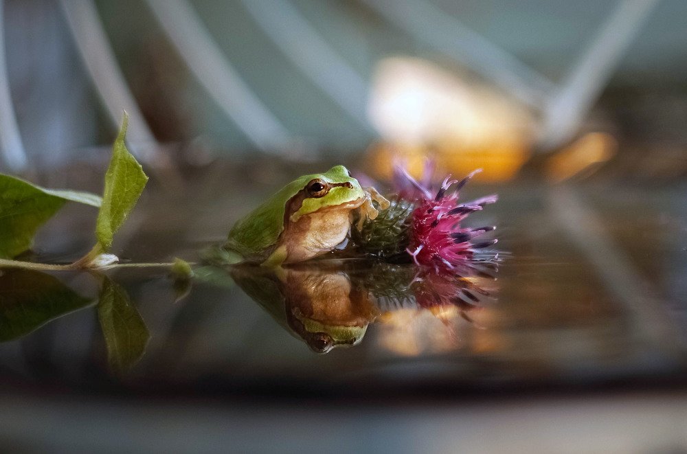 Photograph by Маргарита Федурина