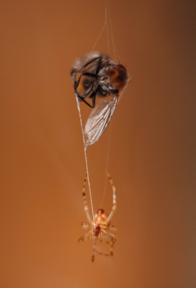 Photograph by Маргарита Федурина