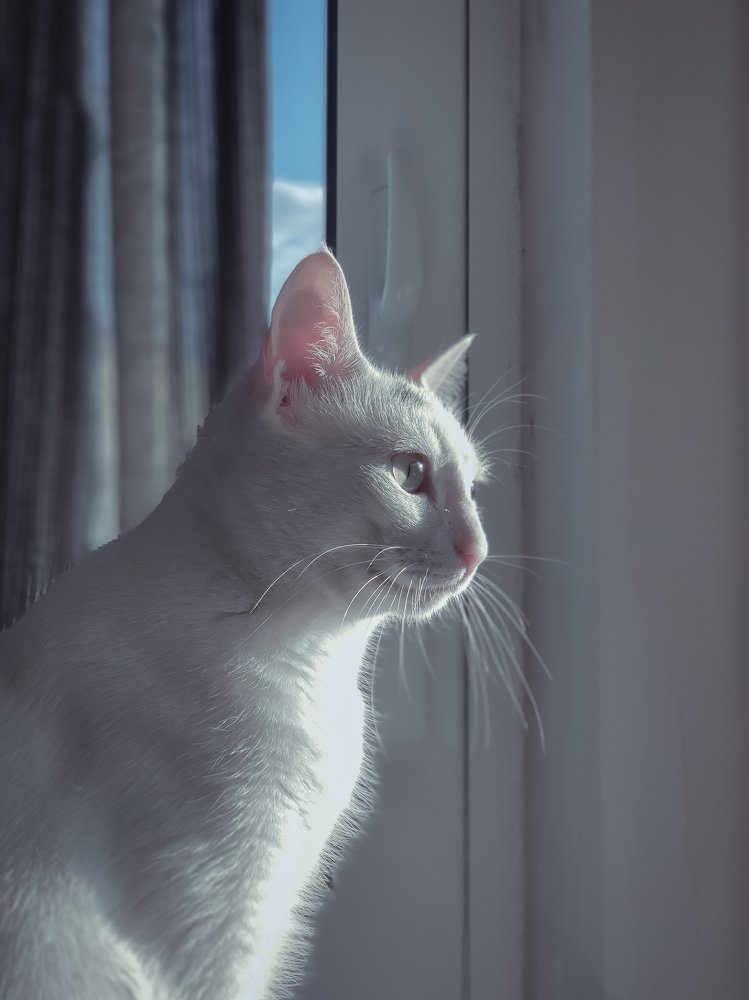 Photograph by Георгий Акопджанов