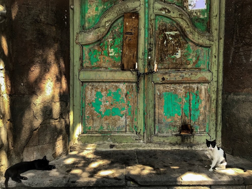 Photograph by amir ali navadeh shahla